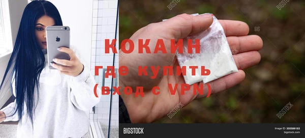 ГАЛЛЮЦИНОГЕННЫЕ ГРИБЫ Новозыбков