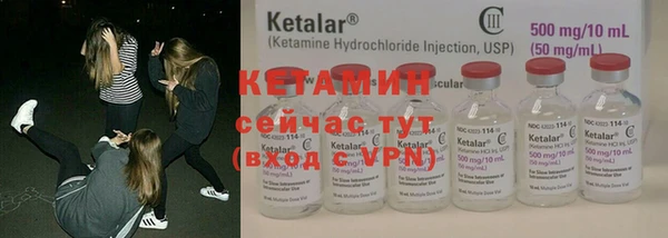 ГАЛЛЮЦИНОГЕННЫЕ ГРИБЫ Новозыбков