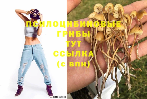 экстази Новокубанск