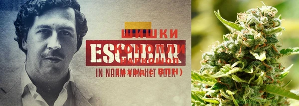экстази Новокубанск