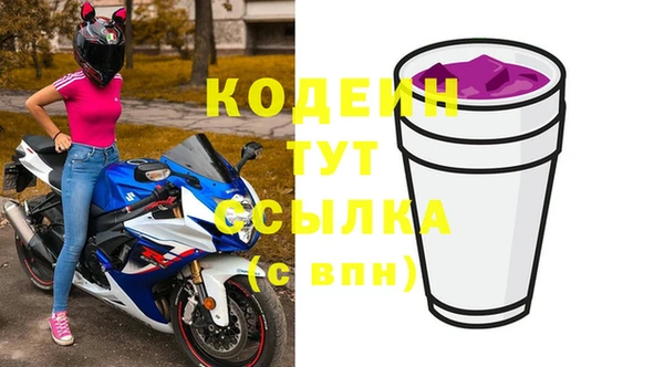 ГАЛЛЮЦИНОГЕННЫЕ ГРИБЫ Новозыбков
