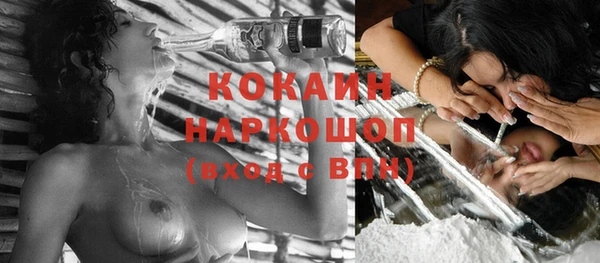 эйфоретик Новодвинск