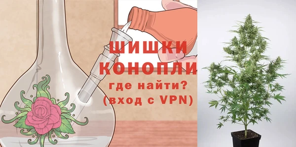 ГАЛЛЮЦИНОГЕННЫЕ ГРИБЫ Новозыбков