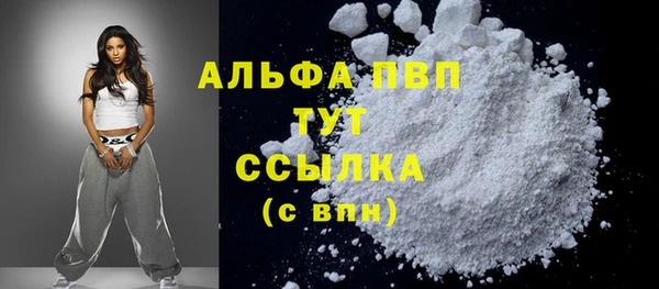 ГАЛЛЮЦИНОГЕННЫЕ ГРИБЫ Новозыбков