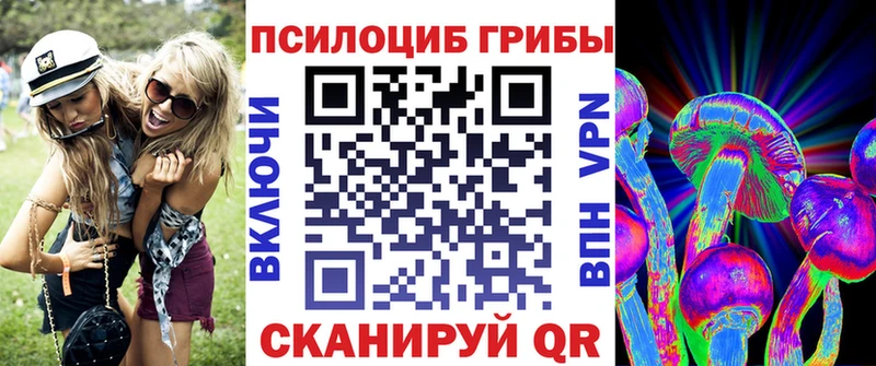 мега зеркало  купить   Новое Девяткино  Псилоцибиновые грибы Magic Shrooms 